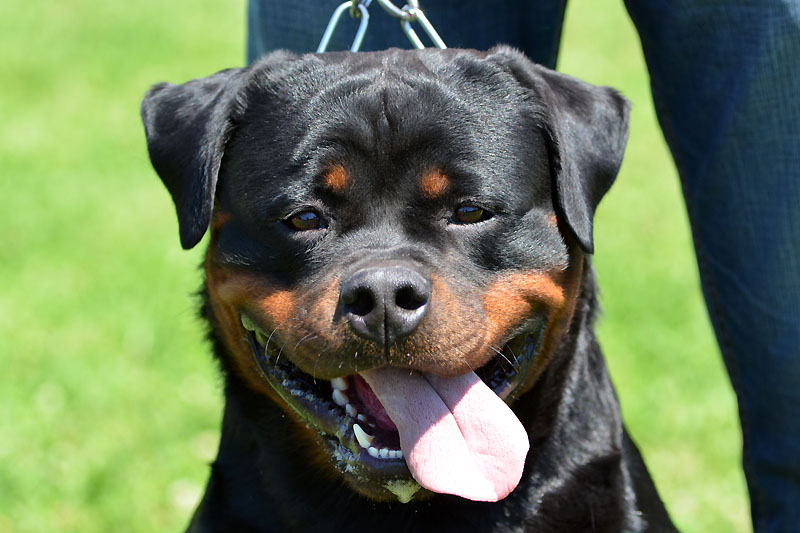 Yumbo von der Alten Festung Yumbo von der Alten Festung